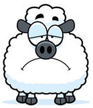 404-sheep